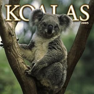 Koalas 2005 Wall Calendar