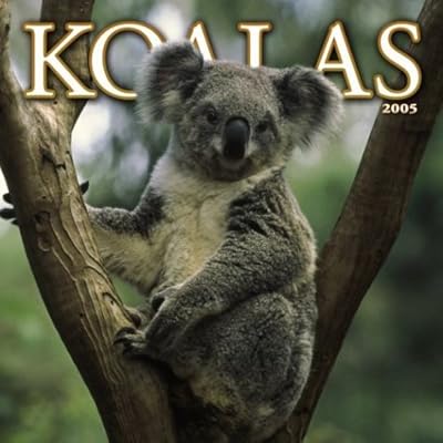 Koalas 2005 Wall Calendar