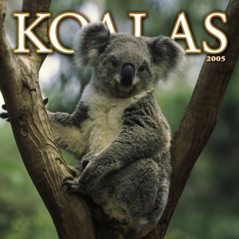 Koalas 2005 Wall Calendar by NOT A BOOK
