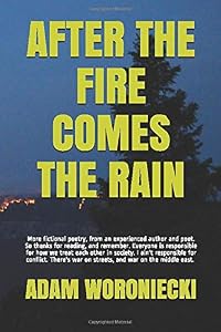 After The Fire Comes The Rain