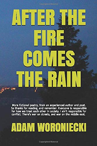 After The Fire Comes The Rain by Adam Woroniecki