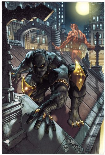 Black Panther: The Man Without Fear, Vol. 1 by David Liss