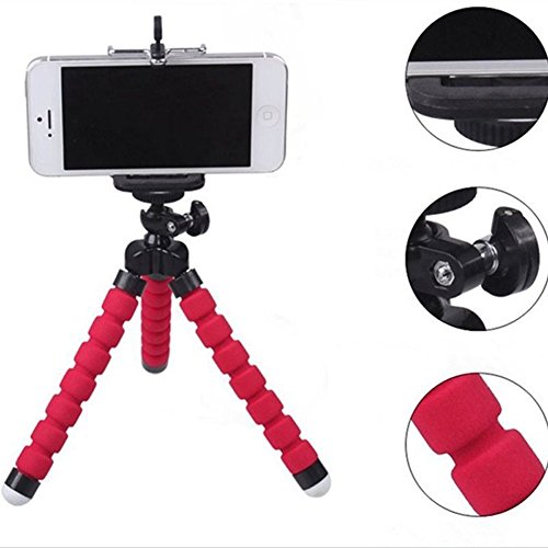 Algopix Similar Product 10 - 