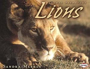 Lions (Animal Predators)