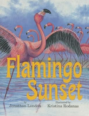 Flamingo Sunset