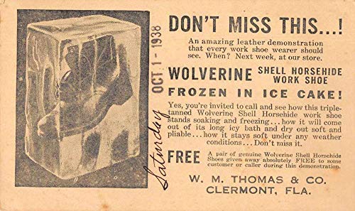 Algopix Similar Product 12 - Clermont Florida Wolverine Leather