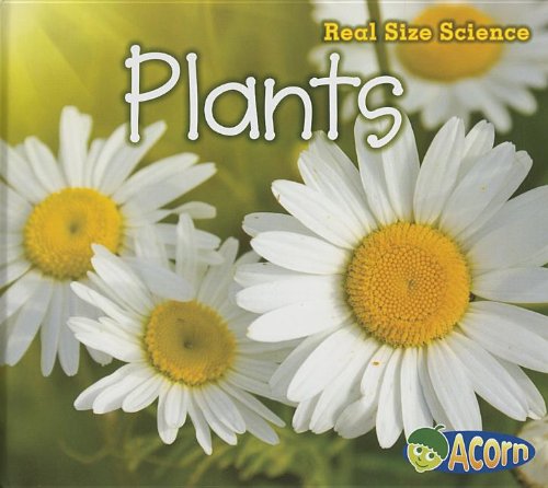 Plants: Real Size Science by Rebecca Rissman
