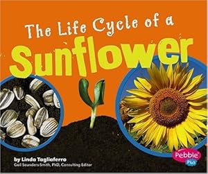 The Life Cycle of a Sunflower