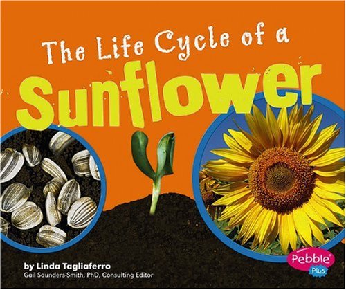 The Life Cycle of a Sunflower by Linda Tagliaferro