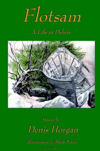 Flotsam: A Life ib Debris by Meryl Nacht