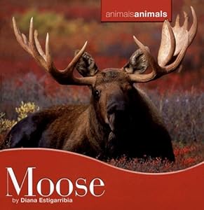 Moose (Animals, Animals)