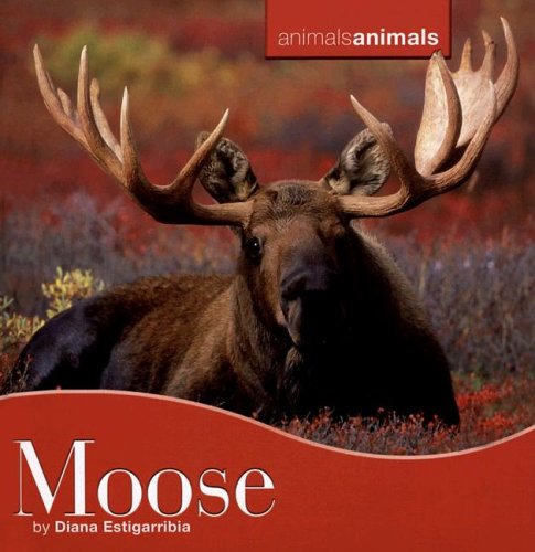 Moose (Animals, Animals) by Diana Estigarribia