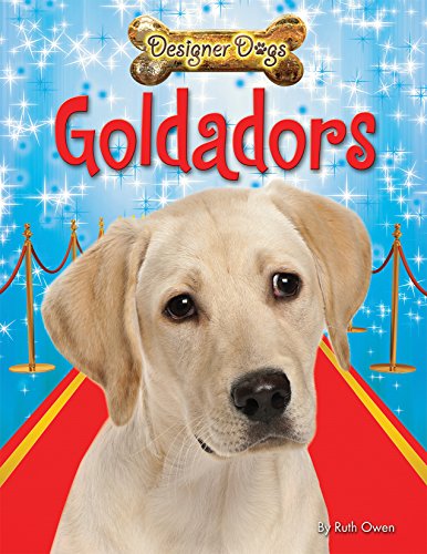 Goldadors by Ruth Owen