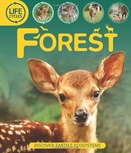 Life Cycles: Forest