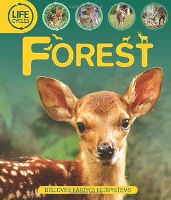 Life Cycles: Forest