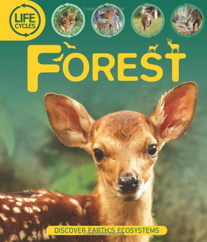 Life Cycles: Forest by Sean Callery