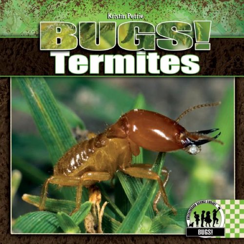 Termites by Kristin Petrie