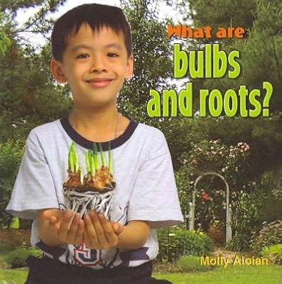 What are bulbs and roots?