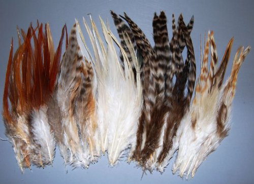 100+ Pcs Mixed Saddle & Coque Plumage Feathers 5