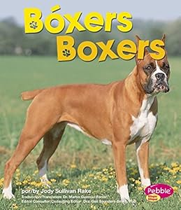 Bóxers/Boxers