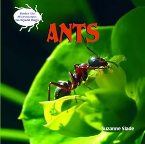 Ants (Under the Microscope: Backyard Bugs)