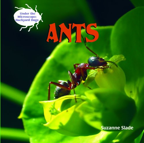 Ants (Under the Microscope: Backyard Bugs) by Suzanne Slade
