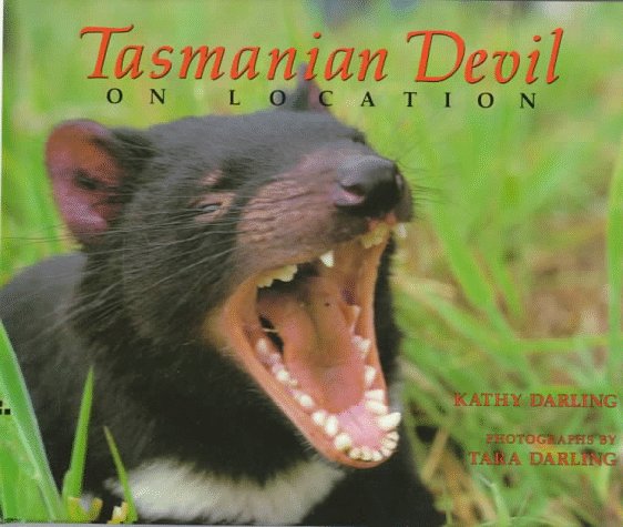 Tasmanian Devil: On Location by Tara Darling