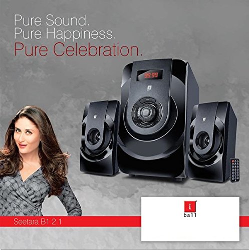 iBall IBALL-SPK 2.1 Channel Multimedia Speakers