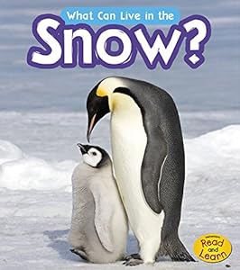 What Can Live in the Snow? by John-Paul Wilkins