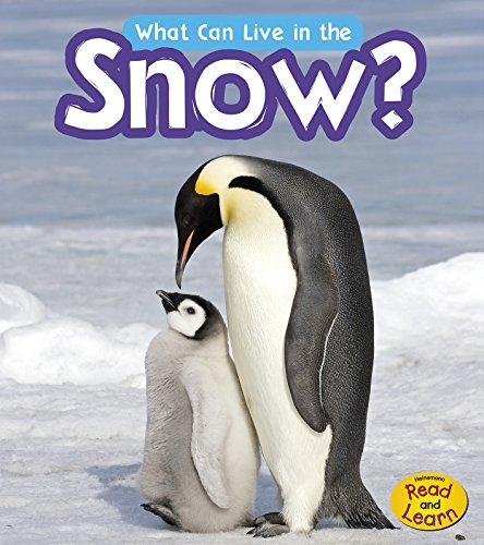 What Can Live in the Snow? by John-Paul Wilkins