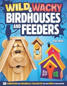 Wild & Wacky Bird Houses and Feeders: 18 Creative and Colorful Projects That Add Fun to Your Backyard