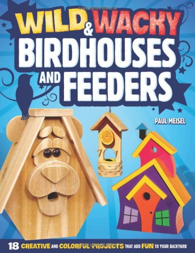 Wild & Wacky Bird Houses and Feeders: 18 Creative and Colorful Projects That Add Fun to Your Backyard by Paul Meisel