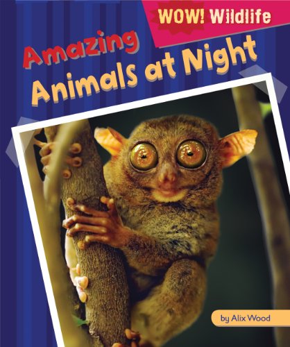 Amazing Animals at Night (Wow! Wildlife) by Alix Wood