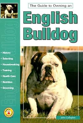 The Guide to Owning an English Bulldog
