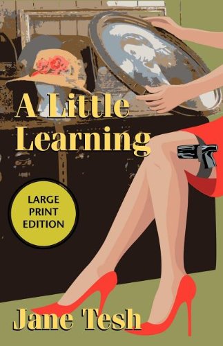 A Little Learning: A Madeleine Maclin Mystery (Madeleine Maclin Series) by Jane Tesh
