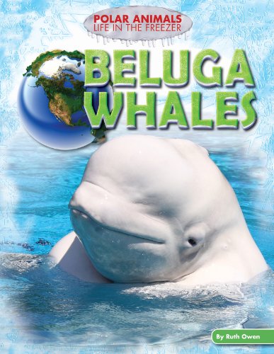 Beluga Whales by Ruth Owen
