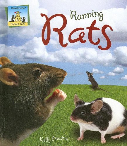 Running Rats (Perfect Pets) by Kelly Doudna