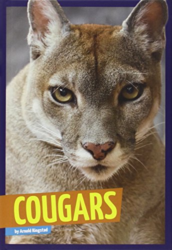 Cougars by Arnold Ringstad