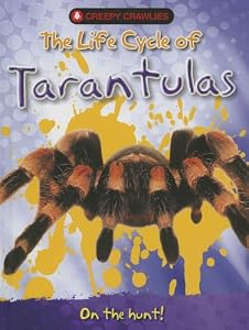 The Life Cycle of Tarantulas