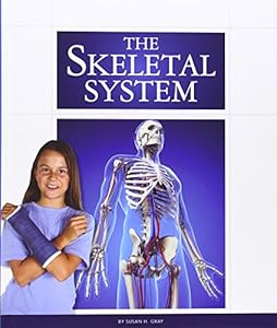 The Skeletal System