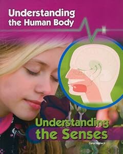 Understanding the Senses (Understanding the Human Body)