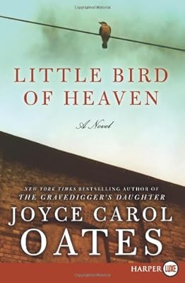 Little Bird of Heaven LP: A Novel