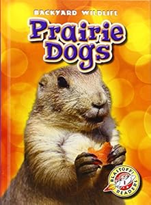 Prairie Dogs