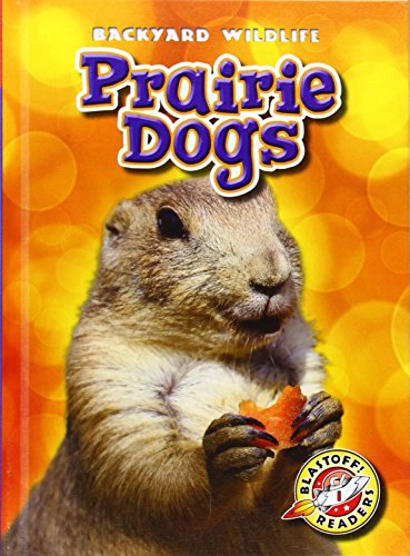 Prairie Dogs by Kristin Schuetz