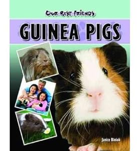 Guinea Pigs
