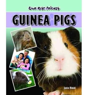 Guinea Pigs