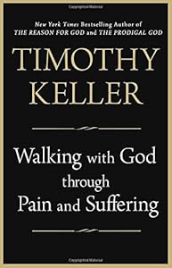 Walking with God through Pain and Suffering