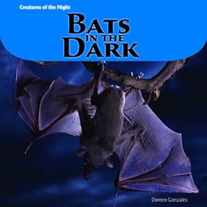 Bats in the Dark