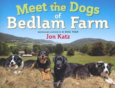 Meet the Dogs of Bedlam Farm