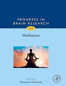 Meditation (Volume 244) (Progress in Brain Research, Volume 244) by Narayanan Srinivasan